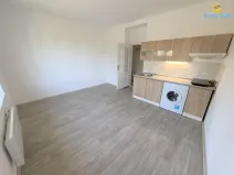 Pronájem bytu 1+kk, Praha - Michle, Hadovitá, 24 m2