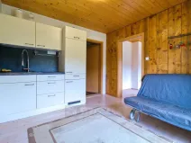 Prodej vícegeneračního domu, Moldava, 410 m2