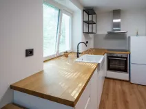 Prodej bytu 1+kk, Neratovice, Školní, 30 m2