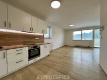 Pronájem bytu 1+kk, Malhostovice, 40 m2