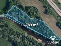 Prodej podílu lesa, Bystřice, 1818 m2