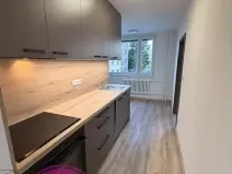 Pronájem bytu 3+1, Přerov, Svornosti, 70 m2