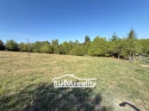 Prodej louky, Bratřejov, 3374 m2