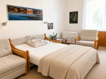Pronájem pokoje, Praha - Košíře, Mahenova, 23 m2