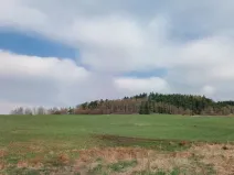 Prodej pozemku, Horní Planá - Žlábek, 47764 m2