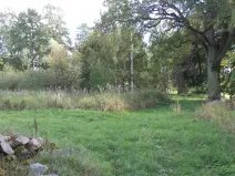 Dražba louky, Žďár, 160 m2