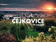 Prodej pole, Čejkovice, 194311 m2
