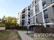 Pronájem bytu 1+kk, Praha - Žižkov, Olgy Havlové, 40 m2