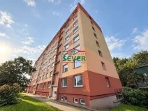 Prodej bytu 2+1, Litvínov - Horní Litvínov, Čapkova, 20 m2