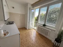 Prodej bytu 1+1, Brno - Lesná, Nejedlého, 38 m2