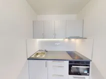 Pronájem bytu 1+kk, Ostrava - Moravská Ostrava, 30. dubna, 30 m2