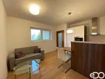 Pronájem bytu 2+kk, Mladá Boleslav, 45 m2