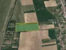 Prodej sadu/vinice, Kostelec, 38921 m2
