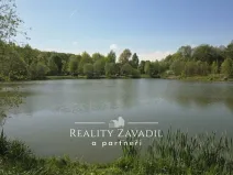 Prodej komerčního pozemku, Žabeň, 32500 m2