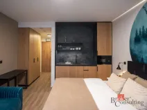 Prodej bytu 1+kk, Černý Důl, 31 m2