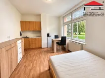 Pronájem bytu 1+kk, Brno, Kosmákova, 23 m2