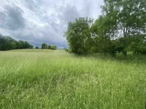 Prodej pole, Třebívlice - Skalice, 12772 m2