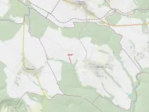 Dražba lesa, Lukovany, 110 m2
