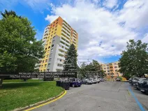 Pronájem bytu 1+1, České Budějovice, Budivojova, 49 m2