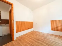 Pronájem atypického bytu, Praha - Michle, Přímětická, 12 m2