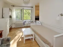 Pronájem bytu 1+kk, Praha, Michelangelova, 21 m2