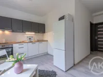 Pronájem bytu 2+1, Ostrava - Vítkovice, Erbenova, 51 m2