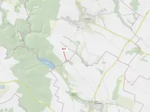 Dražba lesa, Horní Dunajovice, 194 m2