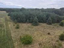 Prodej pozemku, Bechlín - Předonín, 15382 m2