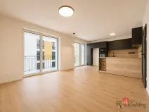Pronájem bytu 4+kk, Plzeň - Litice, Veslařská, 88 m2