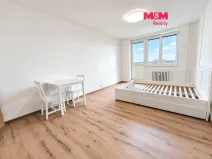 Pronájem bytu 1+kk, Havířov - Šumbark, Lidická, 27 m2