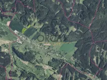 Prodej pole, Borovnička, 11661 m2