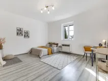 Prodej bytu 1+1, Praha - Žižkov, Pod lipami, 44 m2