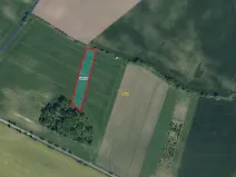 Prodej pole, Dašice, 5921 m2