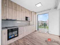 Pronájem bytu 2+kk, Plzeň - Bolevec, Krašovská, 47 m2