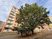 Prodej bytu 4+1, Teplice - Prosetice, Pod školou, 83 m2