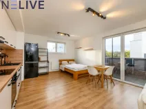Prodej bytu 1+kk, Heřmanova Huť, U Pondu, 35 m2