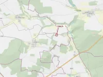 Dražba lesa, Osek, 301 m2