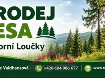 Prodej lesa, Horní Loučky, 9906 m2