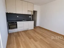 Pronájem bytu 1+kk, Písek - Budějovické Předměstí, Harantova, 20 m2