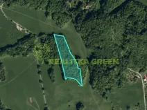 Prodej lesa, Rožnov pod Radhoštěm, Dolní Paseky, 13014 m2
