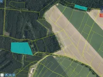 Prodej lesa, Bačalky - Lično, 26180 m2