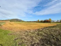 Prodej pozemku pro bydlení, Chotiměř, 9663 m2