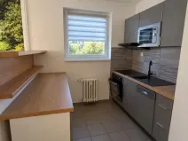 Pronájem bytu 2+1, Dolní Poustevna, Vilémovská, 59 m2
