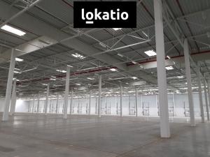 Pronájem skladu, Přehýšov, 6500 m2