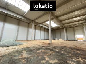 Pronájem skladu, Holubice, 3078 m2