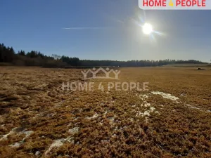 Prodej louky, Černá v Pošumaví, 9804 m2