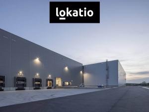 Pronájem skladu, Ostrava, 17651 m2