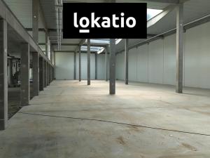 Pronájem skladu, Hradec Králové, 478 m2