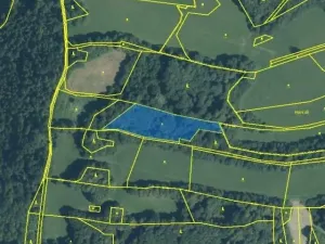 Prodej lesa, Nový Jičín - Straník, 3916 m2