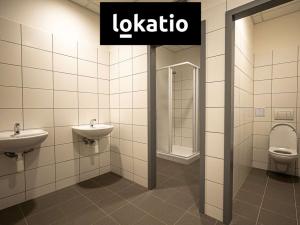 Pronájem skladu, Ostrava - Vítkovice, 3975 m2